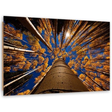 Quadro deco panel, Corone di alberi - 100x70