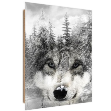 Quadro deco panel, Lupo in un paesaggio invernale -...