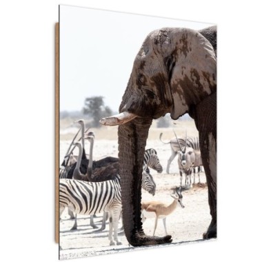 Quadro deco panel, Animali della savana - elefanti...