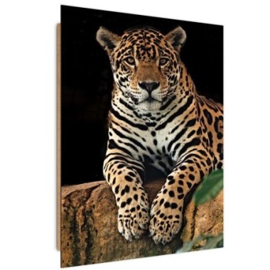 Quadro deco panel, Leopardo a riposo - 70x100