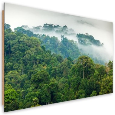 Quadro deco panel, Foresta nella nebbia - 100x70