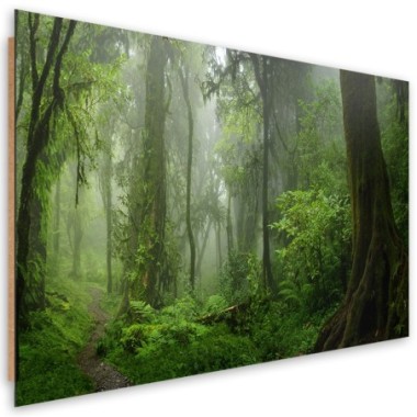 Quadro deco panel, Foresta della giungla tropicale -...