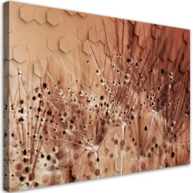 Quadro su tela, Dente di leone in gocce di rugiada -...