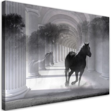 Quadro su tela, Correndo cavallo 3D - 100x70