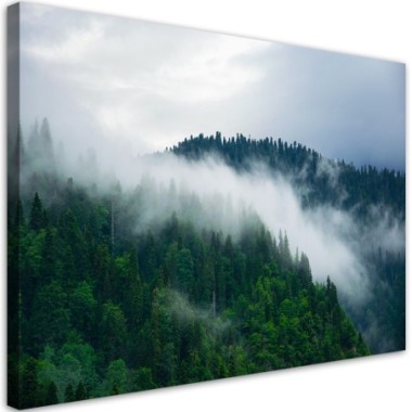Quadro su tela, Foresta nella nebbia - 100x70