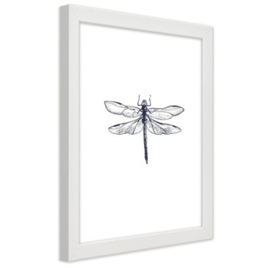 Quadro con cornice, Libellula disegnata - 70x100