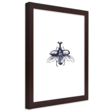 Quadro con cornice, Scarabeo volante - 70x100