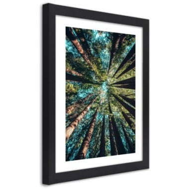 Quadro con cornice, I rami degli alberi alti - 70x100