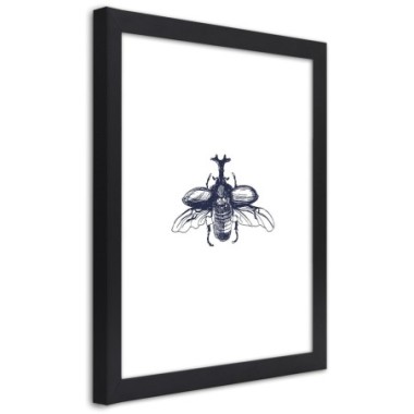 Quadro con cornice, Scarabeo volante - 70x100