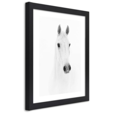 Quadro con cornice, Cavallo grigio - 70x100