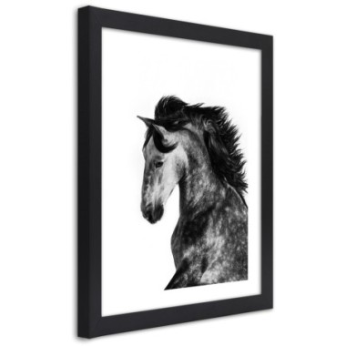 Quadro con cornice, Cavallo selvaggio - 70x100