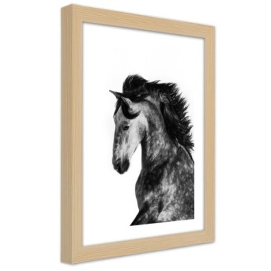 Quadro con cornice, Cavallo selvaggio - 70x100