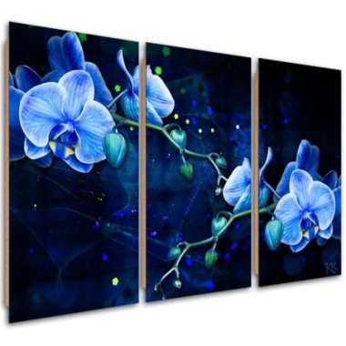 Quadro deco panel 3 paneli, Fiore di orchidea blu -...