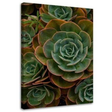 Stampa su tela, Fiore verde succulento - 80x120
