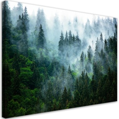 Quadro su tela, Foresta nella nebbia - 120x80