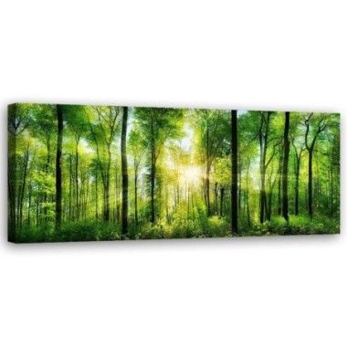 Stampa su tela, Il sole in una foresta - 150x50