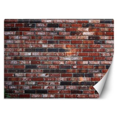 Carta Da Parati, Muro di mattoni rossi - 250x175