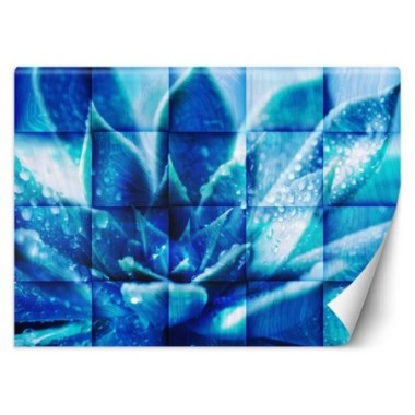 Carta Da Parati, Fiore blu - 250x175