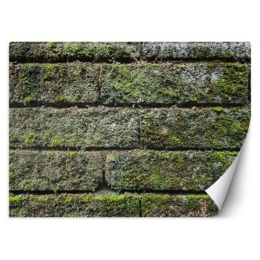 Carta Da Parati, Muro di mattoni vintage - 250x175