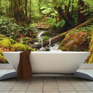 Fotomurale - Foresta equatoriale - 200x154