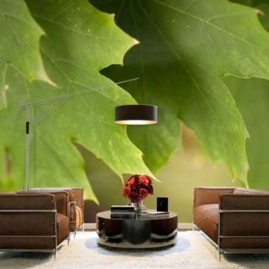 Fotomurale - Foglie - 200x154