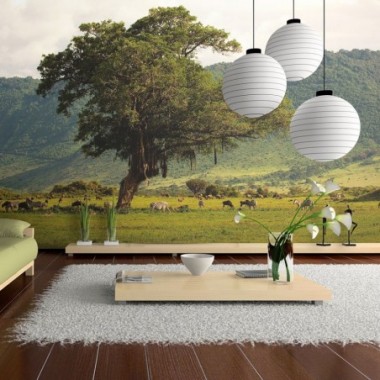 Fotomurale - In a crater of Ngoro ngoro - 200x154