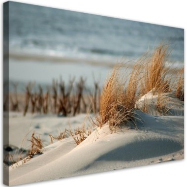 Quadro su tela, Dune by the mare - 120x80
