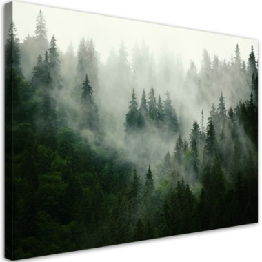 Quadro su tela, Foresta nella nebbia - 120x80