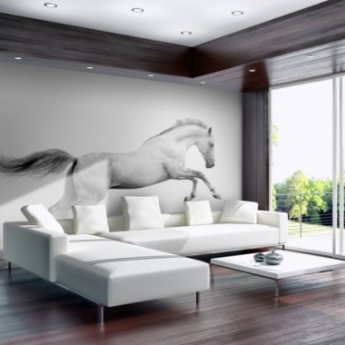 Fotomurale - White gallop - 200x154