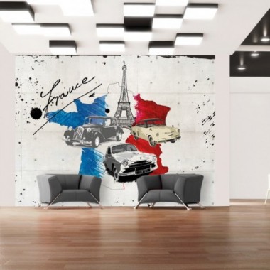 Fotomurale - Admirer of cars (France) - 200x154