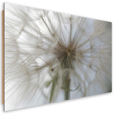 Quadro deco panel, Dente di leone su scala macro -...