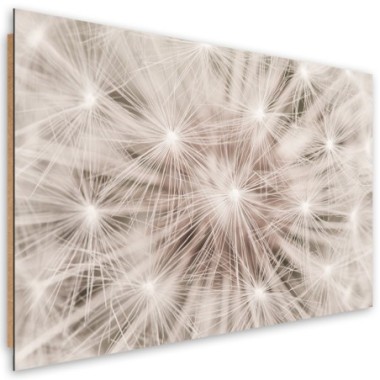 Quadro deco panel, Dentelione fiori natura macro -...