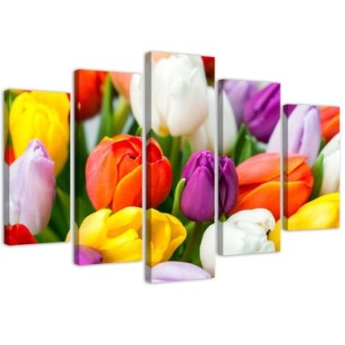 Stampa su tela 5 parti, Tulipani colorati - 100x70