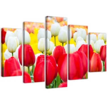 Quadro su tela 5 paneli Tulipano rosso bianco - 100x70