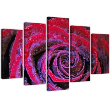 Quadro su tela 5 paneli Fiore di rosa rosso - 100x70