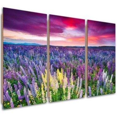 Quadro deco panel 3 parti, Prato fiorito - 120x80