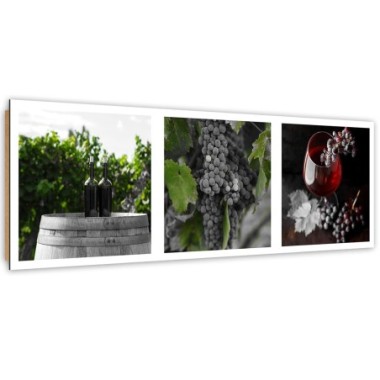 Quadro deco panel, La magia di un vigneto - 150x50
