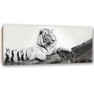 Quadro deco panel, Tigre vigile - 150x50