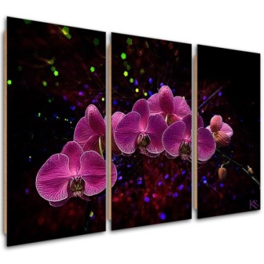 Quadro deco panel 3 paneli, Orchidea su uno sfondo...