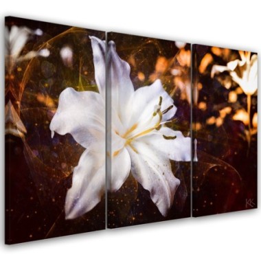 Quadro su tela 3 paneli, Lily bianco su uno sfondo...