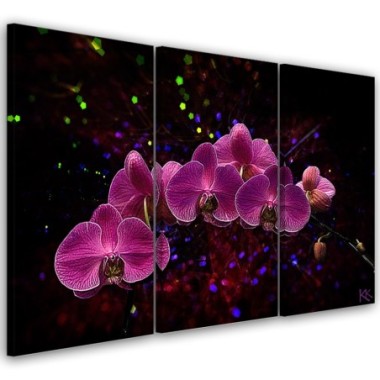 Quadro su tela 3 paneli, Orchidea su uno sfondo...