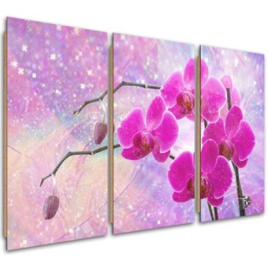 Quadro deco panel 3 paneli, Astrazione orchidea...