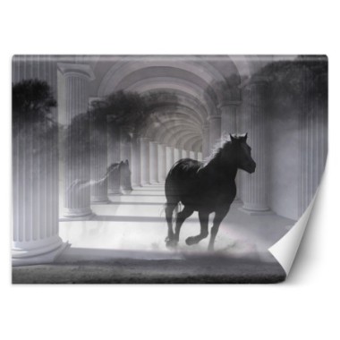 Carta Da Parati, Cavallo Tunnel 3D Colonne Grigio -...