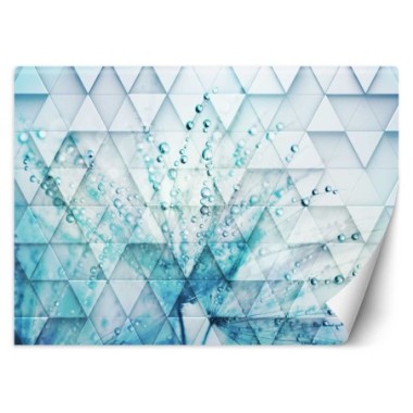 Carta Da Parati, Dente di leone in gocce di rugiada...