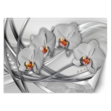 Carta Da Parati, Orchidee astratte - 350x245