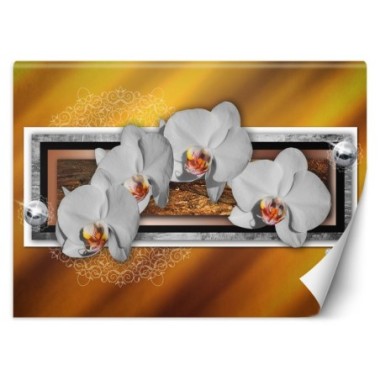 Carta Da Parati, Geometria e orchidee - 350x245