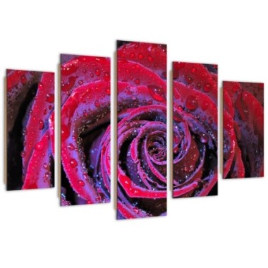 Quadro deco panel 5 parti, Rosa rugiadosa - 200x100