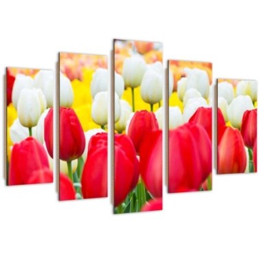 Quadro deco panel 5 parti, Tulipani bianchi e rossi...