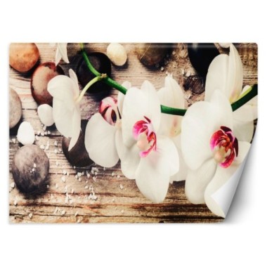 Carta Da Parati, Orchidee Zen - 400x280
