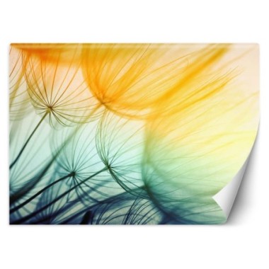 Carta Da Parati, Dente di leone colorato astratto -...